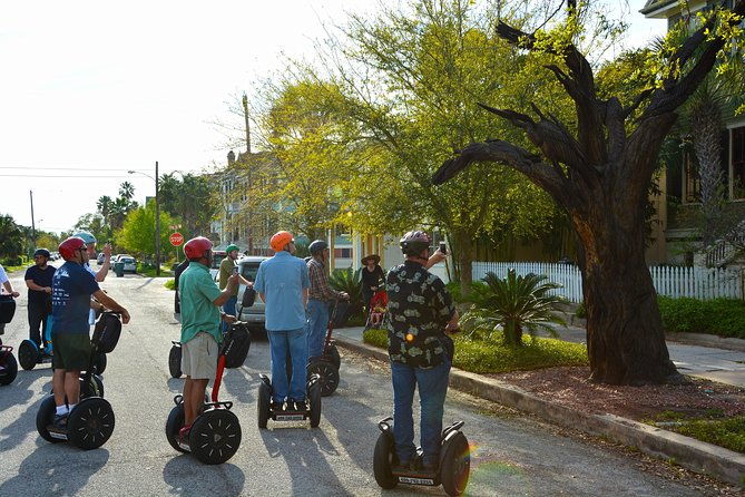 galveston-tree-carvings-segway-tour-2