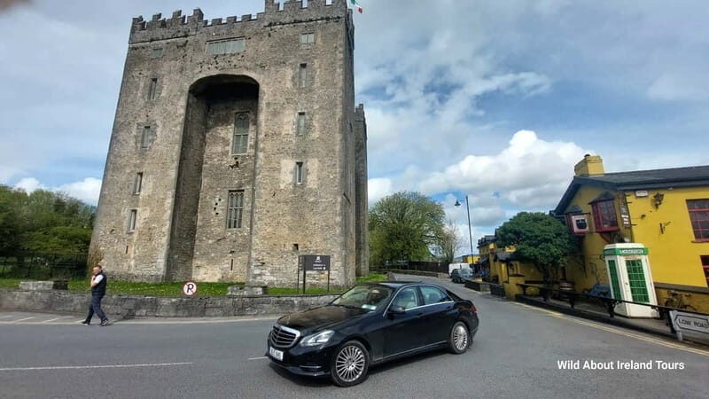 Galway: Cliffs of Moher Cruise, Bunratty Castle & Folk Park - Who Is This Tour Best For?