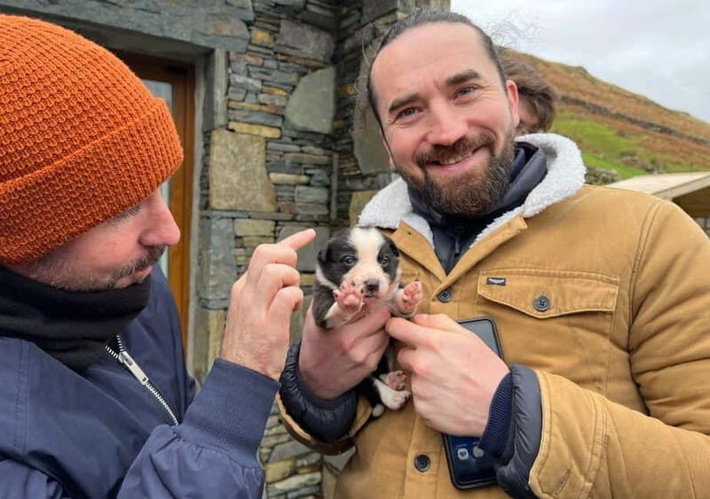 Galway: Connemara, Sheepdog Show and Medieval Castle Tour - The Sum Up