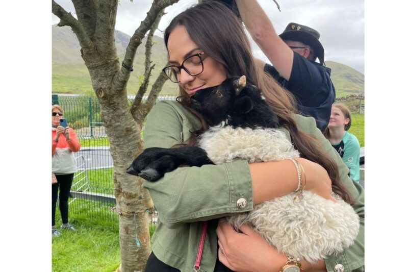 galway-connemara-sheepdog-show-and-medieval-castle-tour