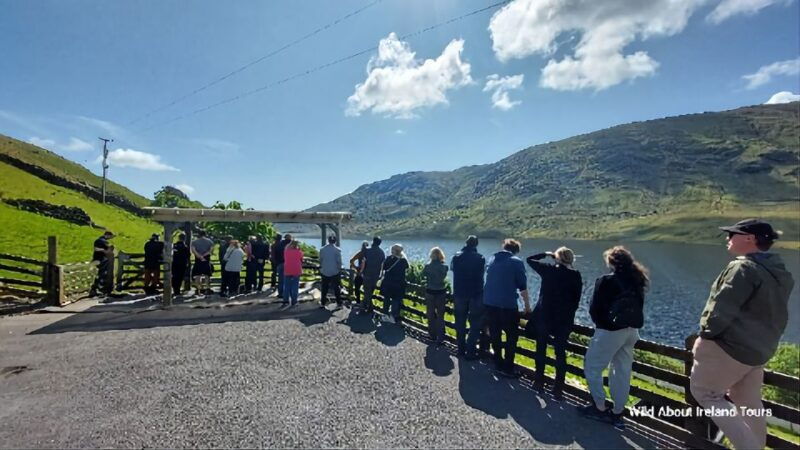 galway-kylemore-sheep-farm-and-connemara-private-day-tour