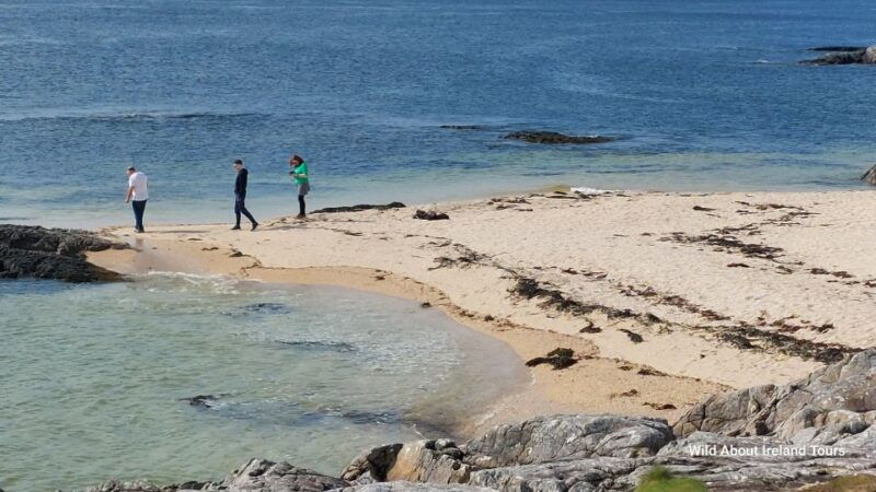 galway-kylemore-sheep-farm-and-connemara-private-day-tour