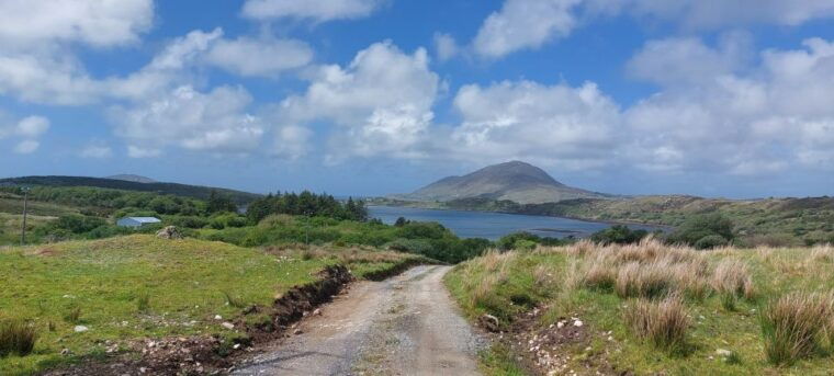 galway-kylemore-sheep-farm-and-connemara-private-day-tour