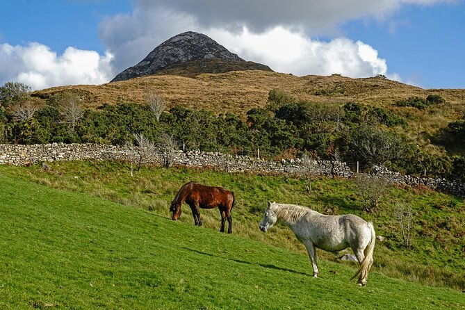 galway-to-connemara-national-park-day-tour