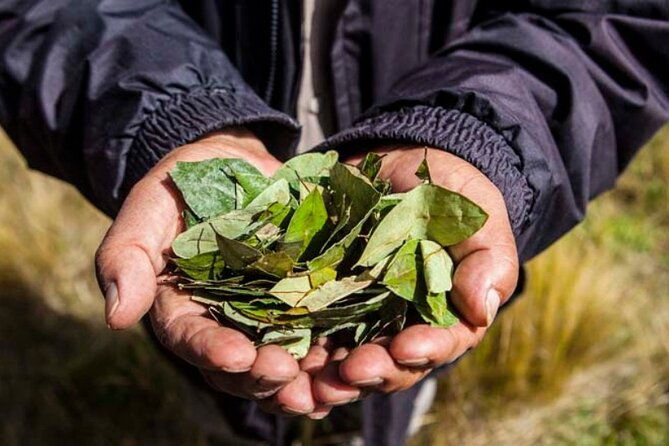 gamarra-bizzare-tour-coca-leaf-reading-with-a-local-shaman