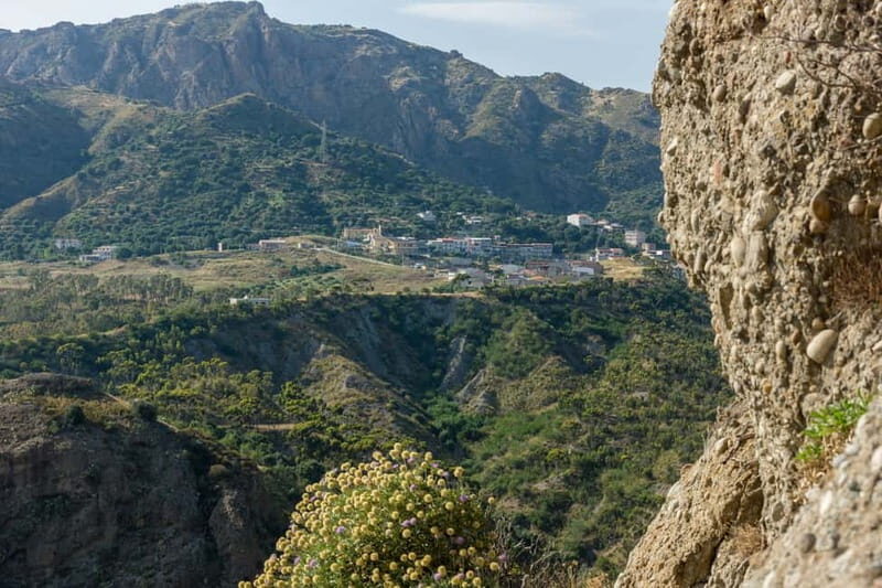 Gambarie: Private Guided Forest Trekking Tour - Why This Tour Offers Good Value