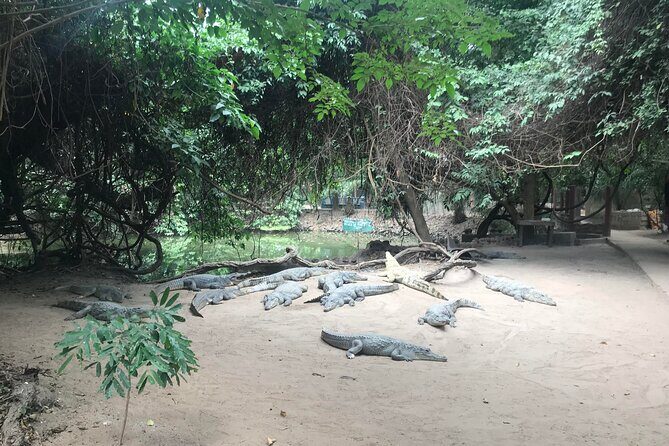 Gambia Banjul City Tour with Crocodile Pool, Arch 22 and More - FAQ