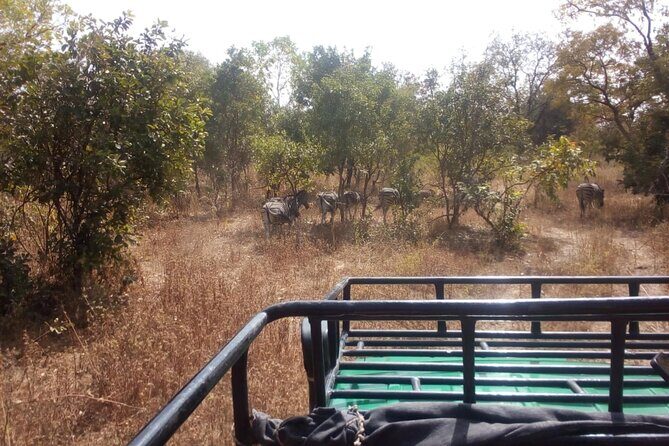 Gambia to Senegal Tour with Ferry Crossing and Safari Park - Key Points