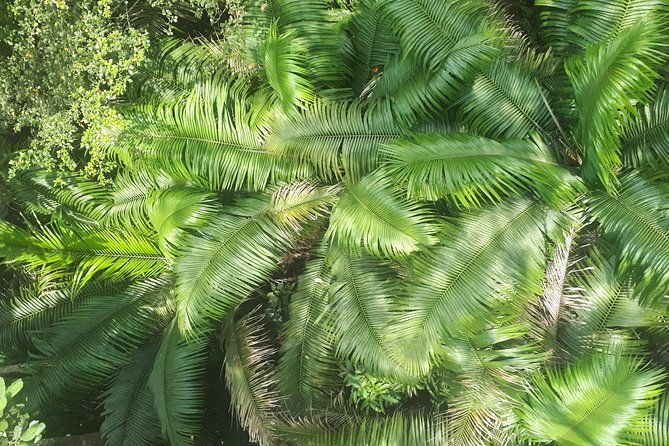 gamboa-rainforest-experience-from-panama-city