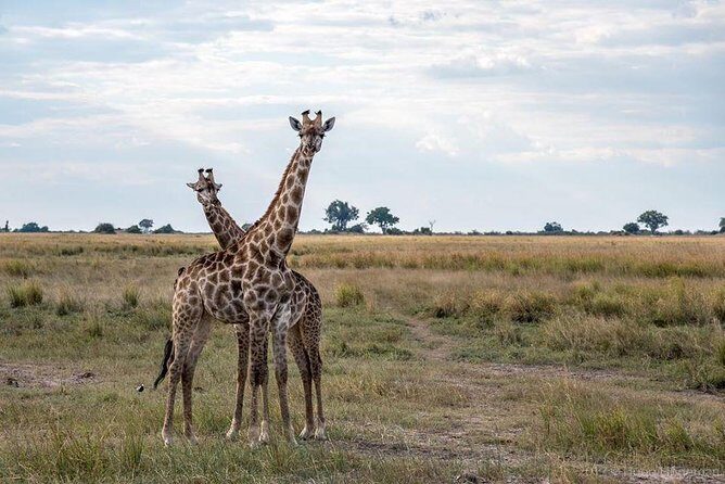 Game Drive and Rhino Viewing Safari - FAQ