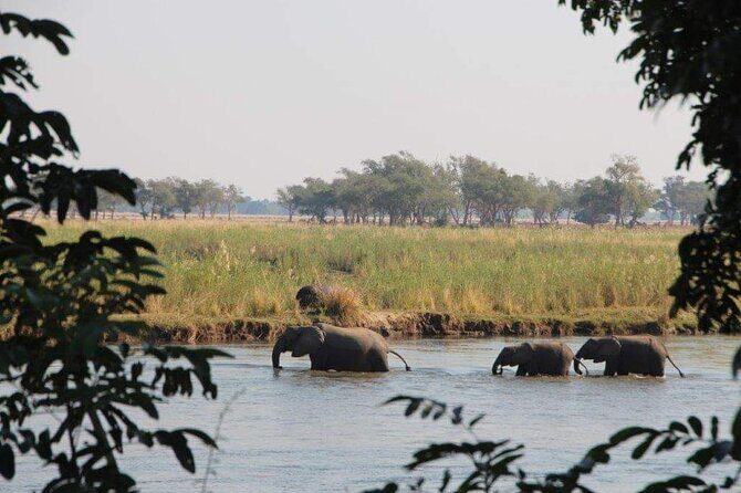 Game Drive And Rhino Walk - Who Should Book This Tour?
