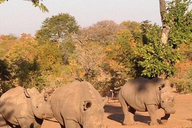 Game Drive And Rhino Walk - Frequently Asked Questions