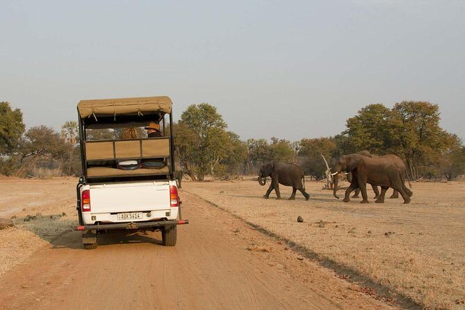 Game Drive and White Rhino Walking Safari in Livingstone - An In-Depth Look at the Safari Adventure