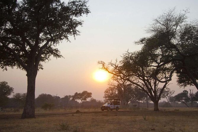 Game Drive and White Rhino Walking Safari in Livingstone - The Sum Up: Is This Safari Worth It?