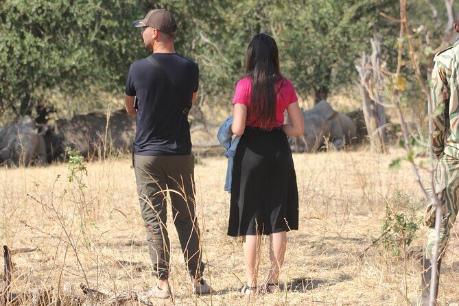 Game Drive and White Rhino Walking Safari in Livingstone - What the Reviews Say