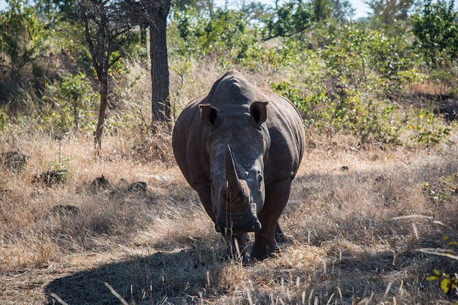Game drive in the Mosi Oa Tunya National Park - Livingstone - Key Points