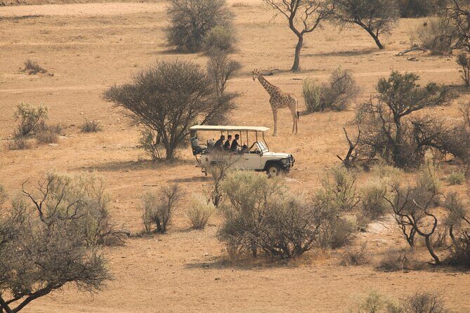 Game drive in Victoria Falls National Park - Key Points