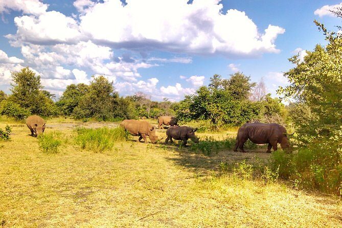 Game Drive into the Musi Otunya National Park - Exploring the Musi Otunya National Park: An Authentic Safari Adventure