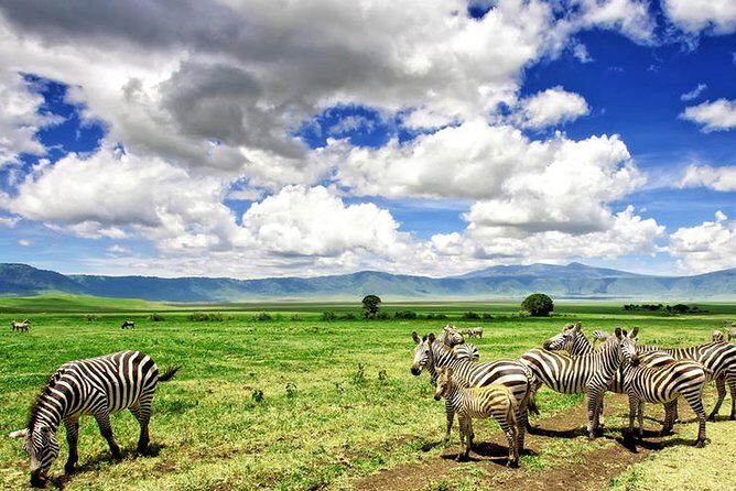 Game Drive into the Musi Otunya National Park - The Sum Up