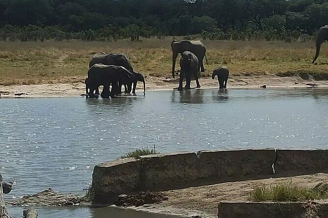 Game Drive Morning & Afternoon - Who Should Consider This Tour?