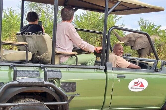 Game Drive Morning & Afternoon - The Sum Up