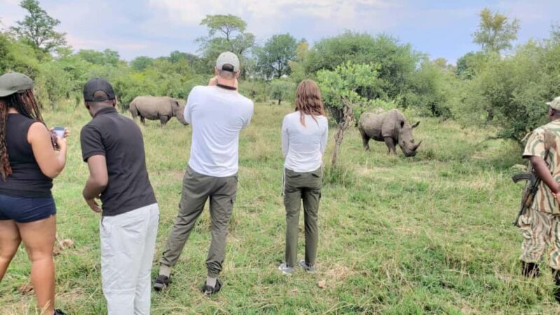 Game Drive plus White Rhino short walk - A Look at the Experience: What to Expect  
