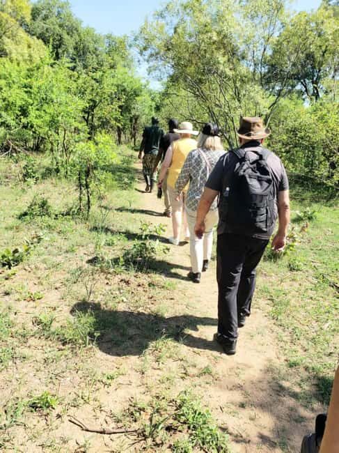 Game Drive plus White Rhino short walk - Why This Tour Stands Out  