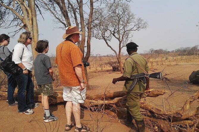 Game drive/White Rhino tracking - Key Points
