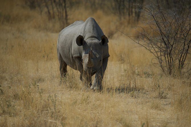 Game Drives - FAQ