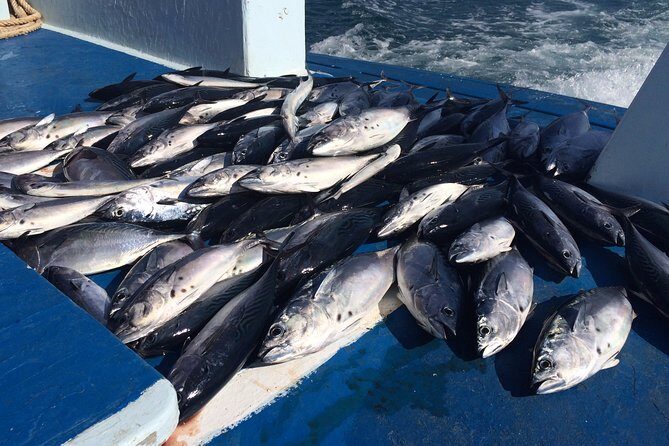 Game Fishing and Trolling around Phuket - Key Points