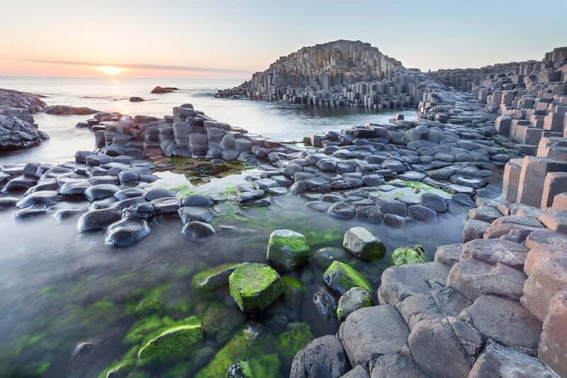 Game of Thrones & Giant's Causeway: Guided Tour from Belfast - Dark Hedges: The Iconic Tree Archway