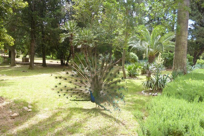 game-of-thrones-kings-landing-filming-locations-with-lokrum-island-visit-2