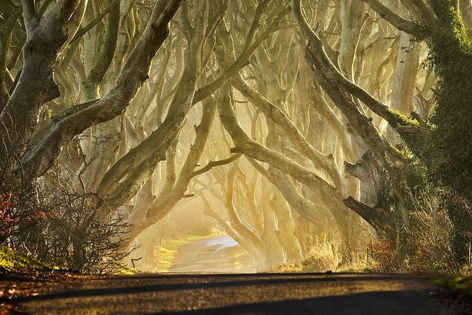 game-of-thrones-private-audi-a6-tour-with-richard-the-wildling