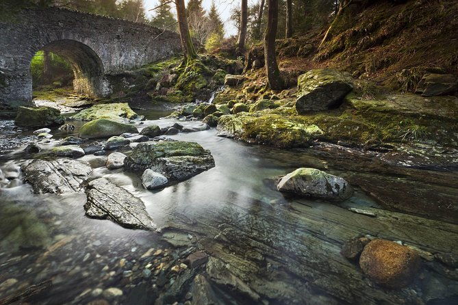 game-of-thrones-tollymore-forest-trek