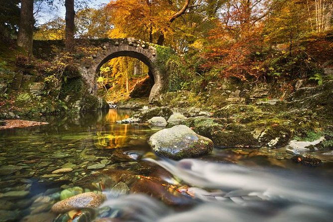 game-of-thrones-tollymore-forest-trek