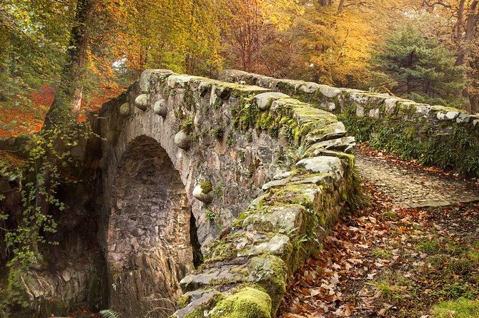 game-of-thrones-tollymore-forest-trek