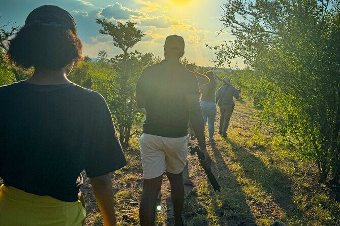 Game Walk in the Zambezi National Park, Victoria Falls - Key Points