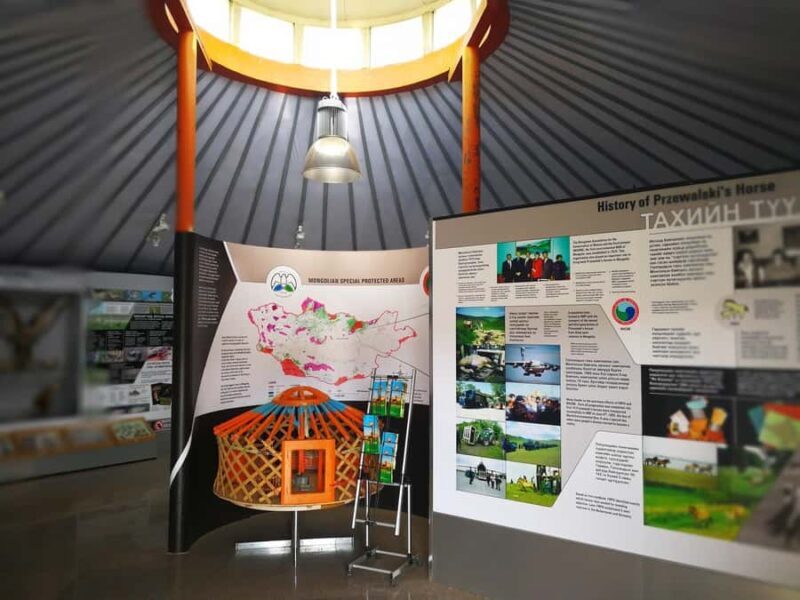 Gandan monastery and Hustai National park-all inclusive tour - Key Points