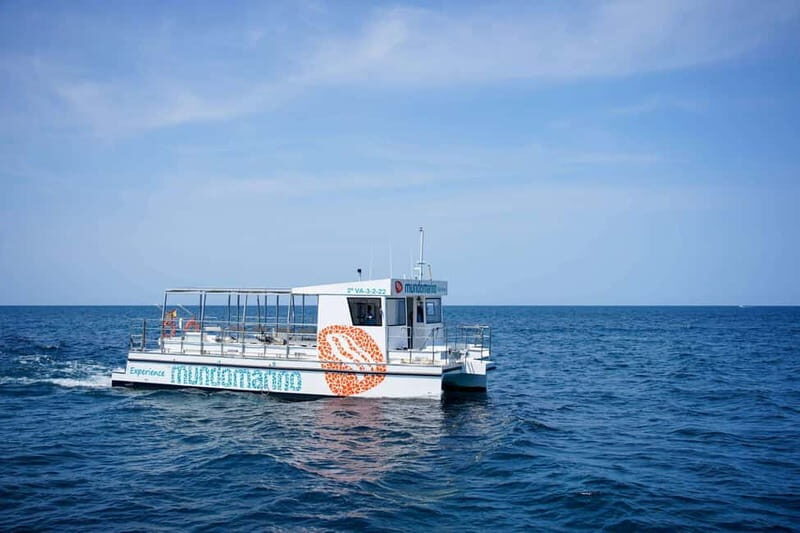 Gandía: Boat trip in Gandía Bay - What to Expect from the Gandía Bay Boat Trip