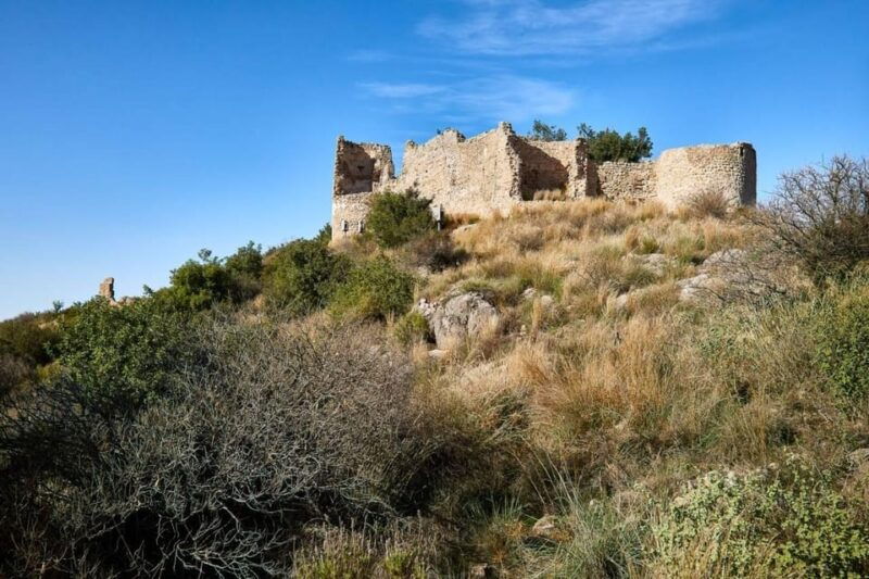 gandia-history-beach-albufera-natural-park-private-tour