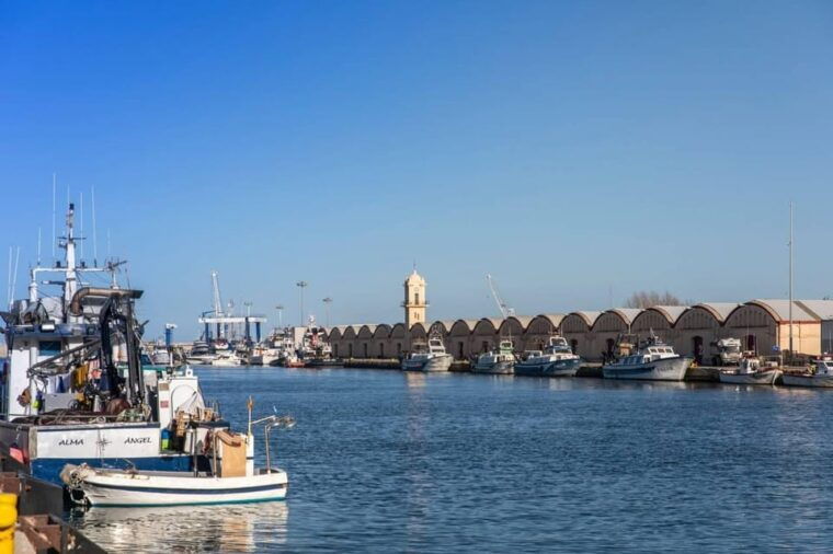 gandia-history-beach-albufera-natural-park-private-tour