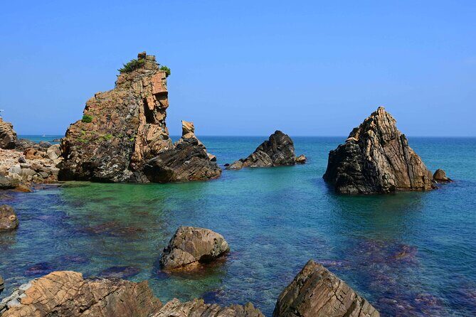 Gangneung Day Tour from Seoul: Haslla art-world & Seaside trail - Final Thoughts