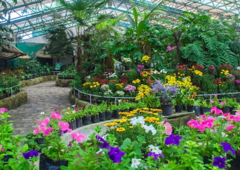 Gangtok: Guided Walking Tour with Ridge Park & Monastery - An In-Depth Look at the Guided Walking Tour in Gangtok