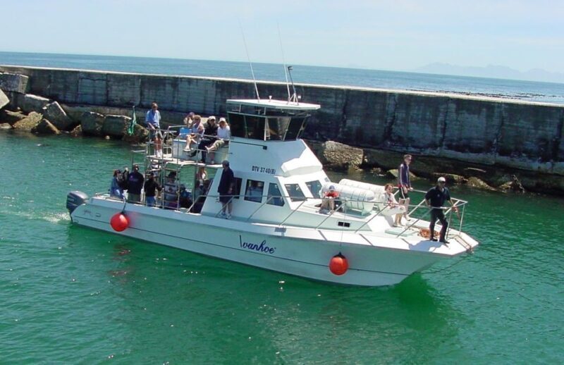 Gansbaai: Whale Watching Trip by Boat - What Makes This Tour Stand Out?