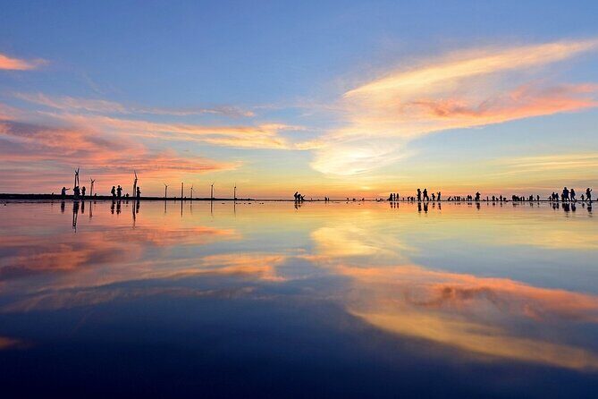 Gaomei Wetland Day Trip from Ximending - Key Points