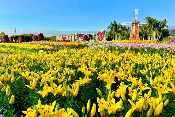 Gaomei Wetlands, Rainbow Village, Miyahara & Zhongshe from Taipei - What Do Travelers Say?