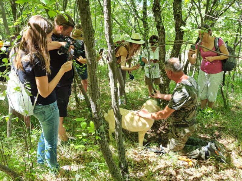 Gaon - Istria: Truffle Hunting & Cooking & Tasting - Key Points