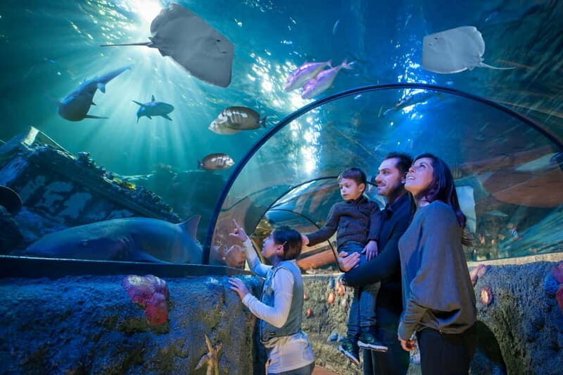 Gardaland Park and SEA LIFE: Fixed Dates Entry Ticket - Who Will Love This Experience?