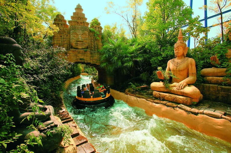 Gardaland Park and SEA LIFE: Open Date Entry Ticket - Marine Life at SEA LIFE: A Closer Look