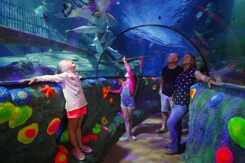 Gardaland SEA LIFE Aquarium: Open Date Entry Ticket - What to Expect from Your Visit